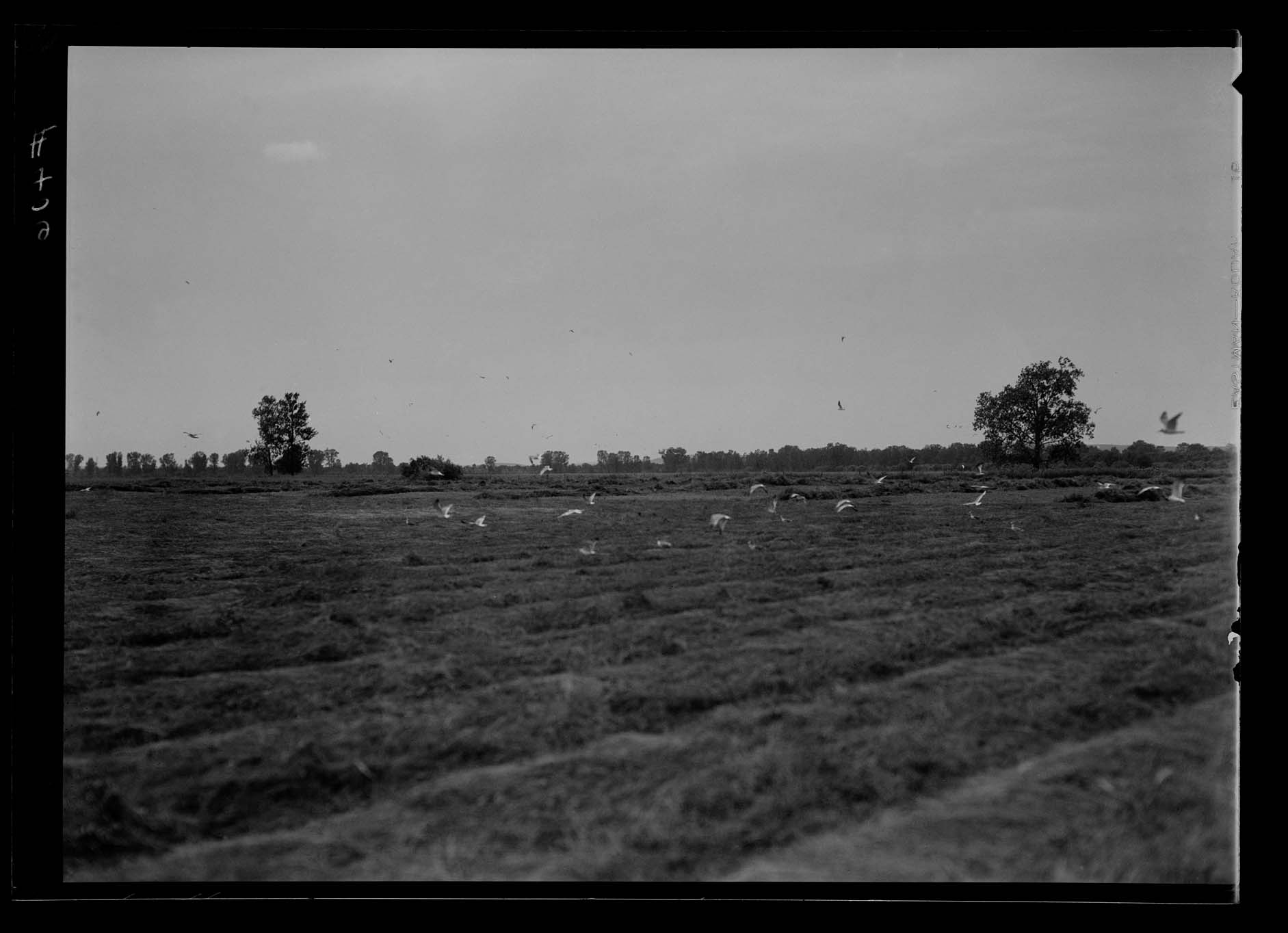 Details North Dakota Heritage Center & State Museum