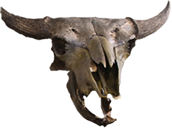Dromeosaur game element 9