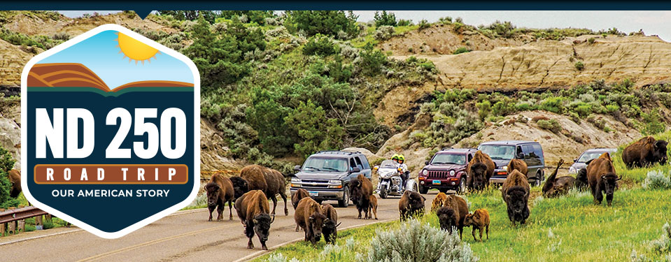 ND250 Road Trip: Our American Story logo over a North Dakota badlands scene with bison scattered across the road and grass blocking traffic.s