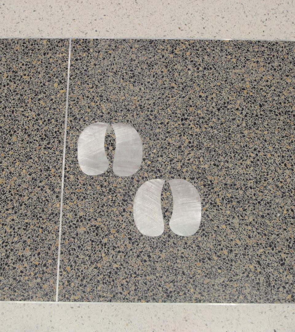 Bison Prints in the floor of the Corridor of History