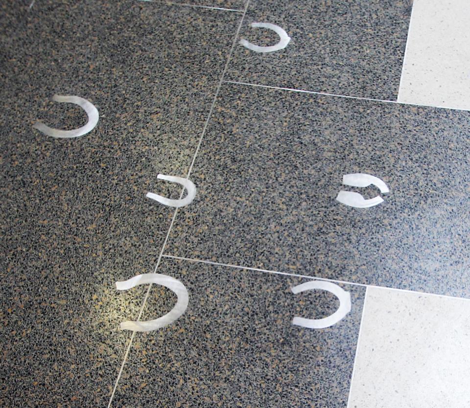 Horse, Ox, and Mule Prints in the floor of the Corridor of History