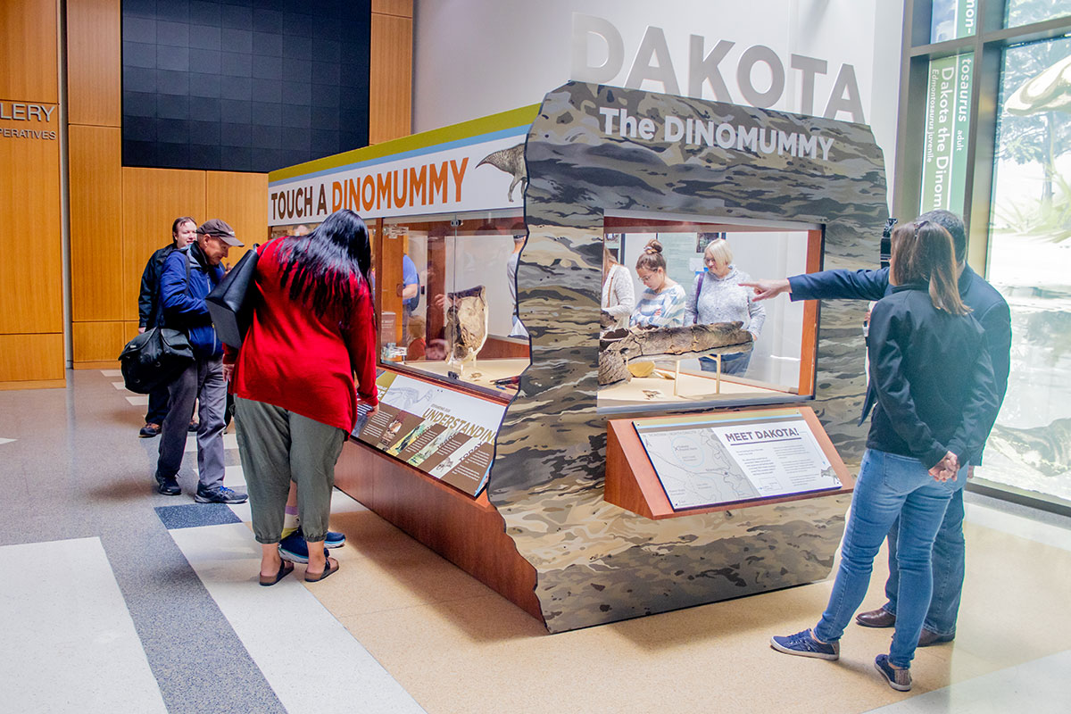 Skylight Icons North Dakota Heritage Center State Museum