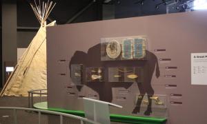 A bison silhouette is painted on a wall with artifact cases holding pieces of the bison in them displaying how different parts can be used