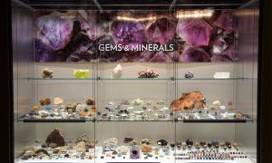 Gems and Minerals exhibit case